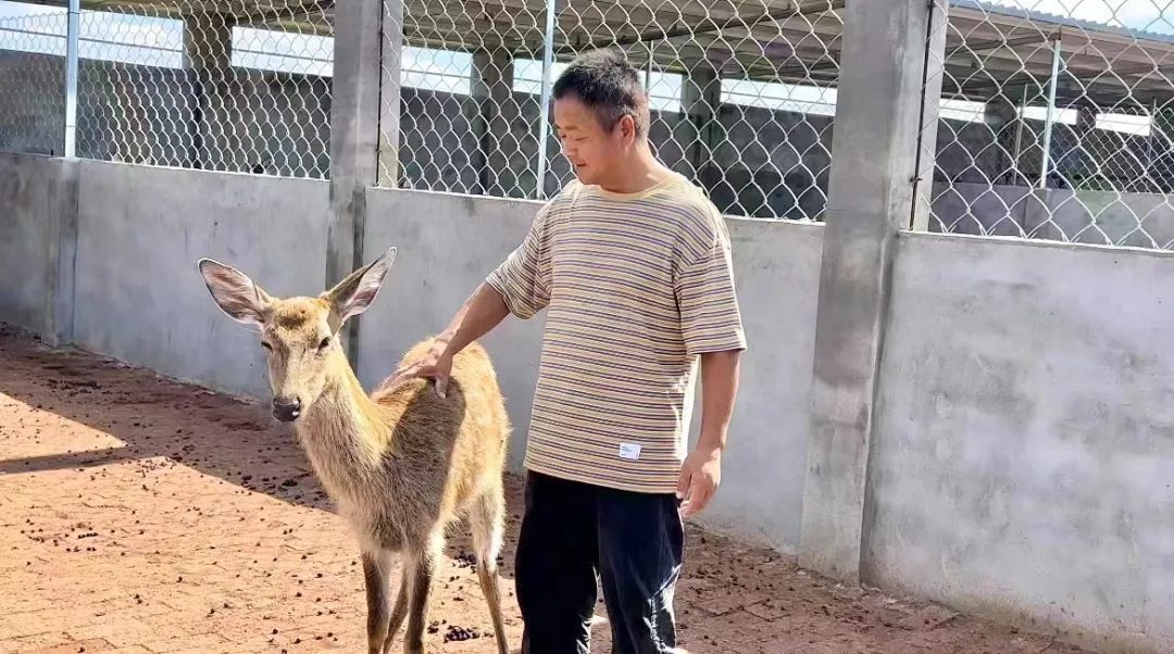 摇钱树至尊版电脑版